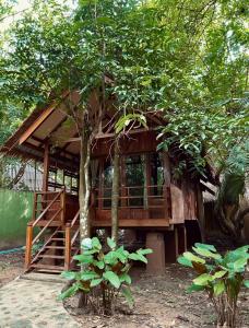 En have udenfor Khao Sok Paradise Resort