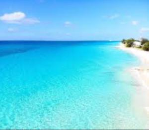 a view of a beach with blue water at Beautiful Experience in North Bimini