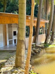 eine Gruppe von Palmen vor einem Gebäude in der Unterkunft Chácara Cidade da Divina Misericórdia in Araucária