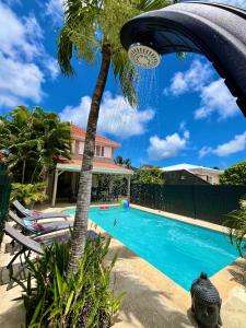 una palmera junto a una piscina en Villa dO, en Sainte-Anne
