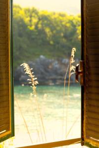 Paesaggio naturale nelle vicinanze dell'hotel