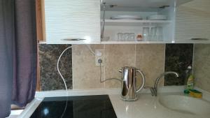a kitchen counter with a sink and a mixer at Aslan Dağ Evleri in Uzungöl +53 photos