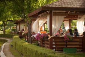 Zahrada ubytování Hotel Bellevue