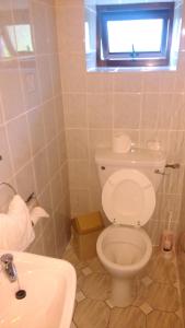 a bathroom with a white toilet and a sink at Gortnaboul House in Kilgarvan +30 photos