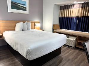 a hotel room with a large bed and a window at Microtel Inn & Suites by Wyndham Tuscaloosa East in Cottondale