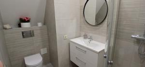 a bathroom with a toilet and a sink and a mirror at Villa by the Baltic Sea in Palanga +21 photos