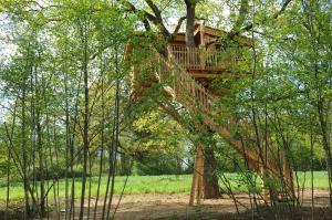 una casa en el árbol en medio de un árbol en La Cabane du Vieux Chêne, en Susmiou