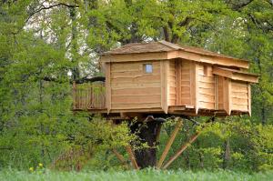 una casa sull'albero seduta sopra un albero di La Cabane du Vieux Chêne a Susmiou