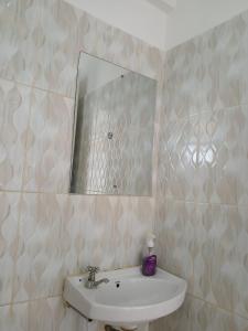 un baño con lavabo y espejo en Cozy haven kitengela, en Kitengela 
