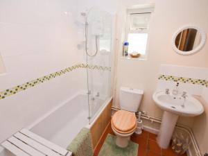un bagno con doccia, WC e lavandino di Rye Court Cottage a Birtsmorton