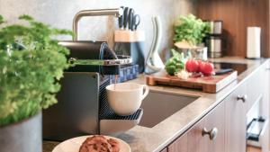 Kuchyň nebo kuchyňský kout v ubytování Villa Esperance