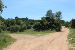 a dirt road in the middle of a field at Eco Secluded apartments Zabodarski in Cunski