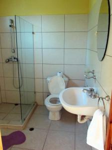 La salle de bains est pourvue de toilettes, d'un lavabo et d'une douche. dans l'établissement Corales Punta Rusia, à Punta Rucia