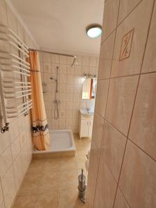 a bathroom with a shower and a bath tub at Pokoje Szmaragd in Kudowa-Zdrój