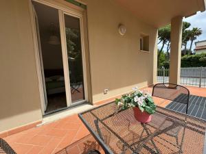 a table with a potted plant on a patio at Residence San Francesco in Tirrenia