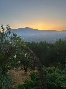 Gallery image of La Vieja Botica 2026 in Canillas de Aceituno