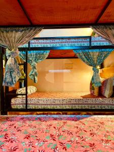 乌代浦Turtle Hostel Udaipur的相册照片
