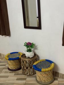 乌代浦Turtle Hostel Udaipur的相册照片