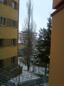 vista su un cortile ricoperto di neve con alberi e edifici di Hostal El Duende Blanco a Sierra Nevada