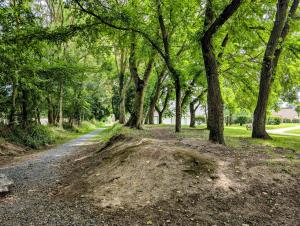 Galeriebild der Unterkunft Heritage stone house BnB with Gourmet Breakfast - Chambres d'hôtes de charme entre Bayeux et les plages du débarquement in Sommervieu