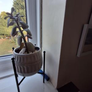 Fotografie z fotogalerie ubytování Agi's room v destinaci Hamble