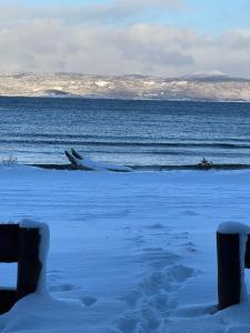 a whale laying on the beach in the snow at COSTA DE LOS PAJAROS in Ushuaia