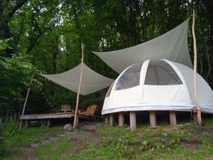 Jardí fora de Wig Wam Morvan