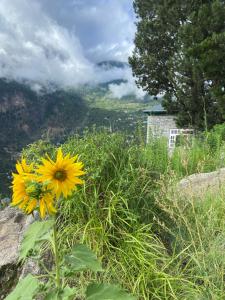 Billede fra billedgalleriet på Raldang Himalayan homestay & farm stay i Kalpa