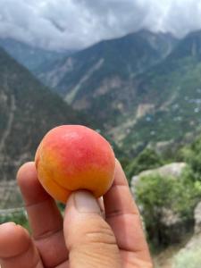 Billede fra billedgalleriet på Raldang Himalayan homestay & farm stay i Kalpa