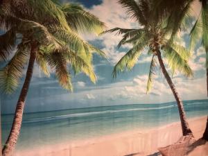 Dos palmeras en una playa con el océano en 6 Scotia, en Auckland