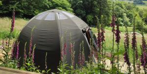 Jardí fora de Wig Wam Berger