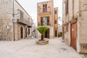a palm tree in the middle of an alley at Il Giardino Dei Semplici in Giuliana +47 photos