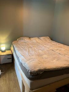 Postel nebo postele na pokoji v ubytování Mitt i Sveg, Färjegatan 6