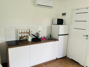 Η κουζίνα ή μικρή κουζίνα στο Domki u Zuzi w Sianożętach