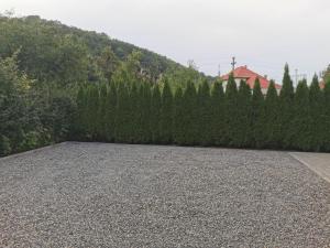 a gravel parking lot in front of a hedge at Giulia Guest House in Sovata