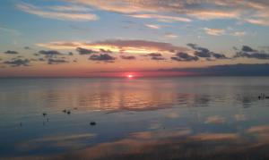 Fotografie z fotogalerie ubytování Nordliv Strand v destinaci Hasle