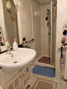 索拉纳斯B&B Is Pranus a Mari Casa Privata的带水槽和淋浴的浴室