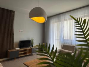 a living room with a chair and a television and a plant at Bella-1 Apartment in Prishtinë