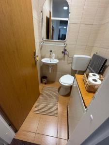 a bathroom with a toilet and a sink and a mirror at Mostar Zen Apartment in Mostar +11 photos