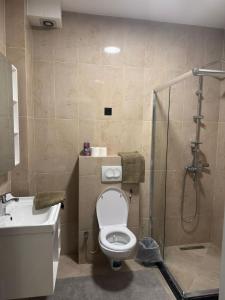 Koupelna v ubytování Bella-1 Apartment + 8 fotografií