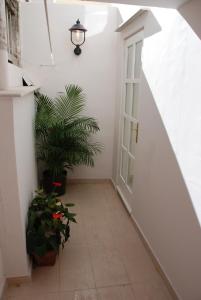 Fotografia z galérie ubytovania Villa Antipodes v Dubrovníku