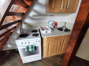 a small kitchen with a stove and a sink at Napospart 33 in Balatonlelle
