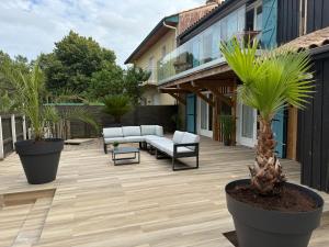 a patio with potted plants and furniture on it at Villa JANE vue Bassin in Lège-Cap-Ferret