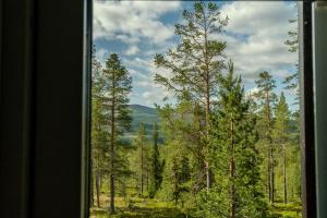 a view of a forest from a window at Newly built house | Sauna | EV charger | Terrace in Lofsdalen
