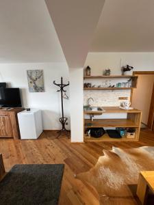 TV a/nebo společenská místnost v ubytování Apartmány MonTexas