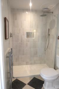 a bathroom with a shower and a toilet at Apartments in the centre of Donaghadee in Donaghadee +33 photos