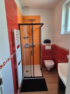 a bathroom with a shower and a toilet at L'Olivier Studio Cosy & Calme Idéal Duo ou Pro in Trévoux