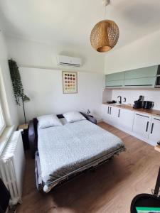 a bedroom with a bed and a kitchen at L'Olivier Studio Cosy & Calme Idéal Duo ou Pro in Trévoux