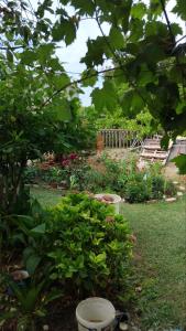 a garden with flowers and plants in a yard at Nada Rooms in Budva