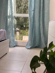 a room with a window with blue curtains and a plant at Da Franco in Santa Luria +48 photos